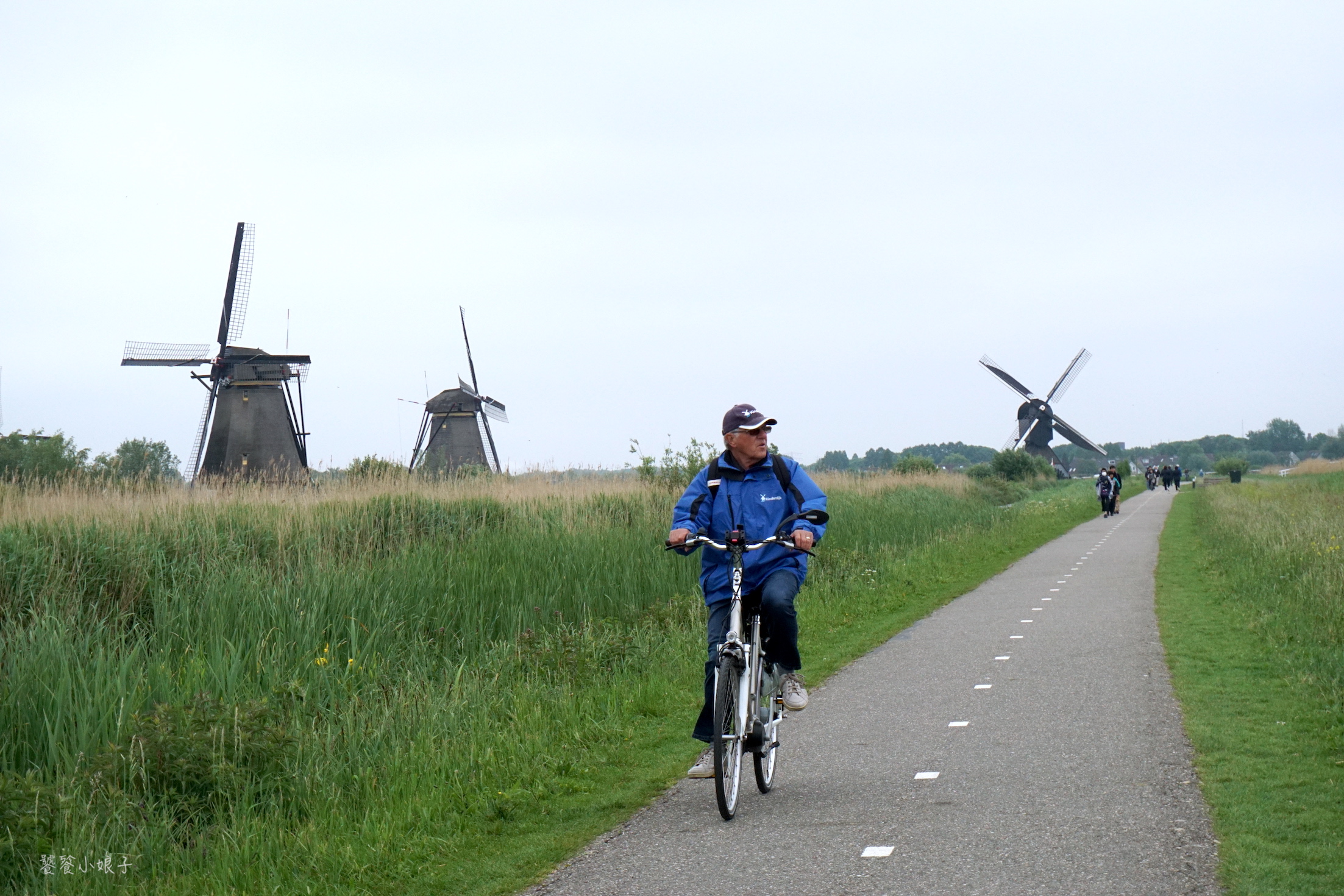 荷兰风车为什么这么多,荷兰为什么被称为风车国