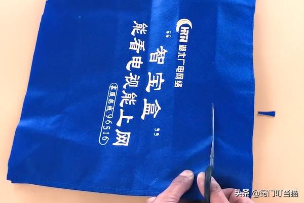 衣服布袋子别扔了,剪几刀放在家里有大用处,朋友看见都想要