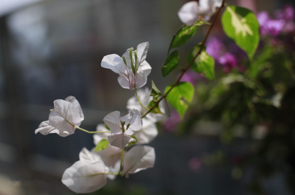 摄影相机理论知识,相机摄影参数基础知识