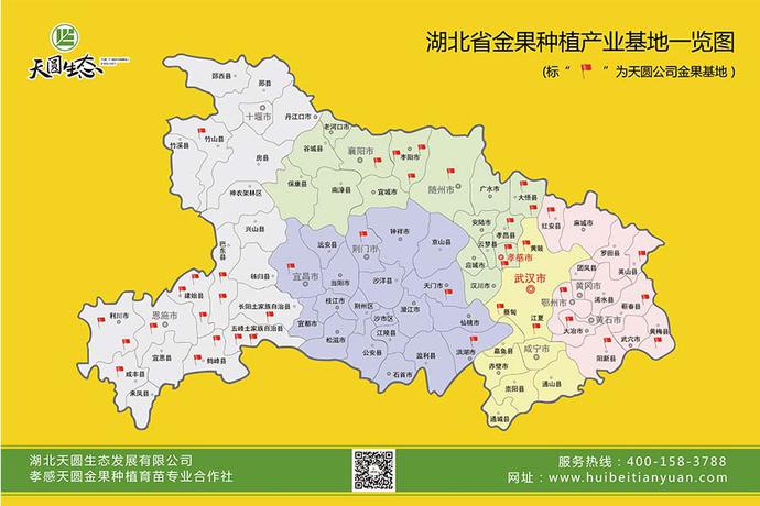 产业扶贫，金果致富——湖北天圆生态发展有限公司