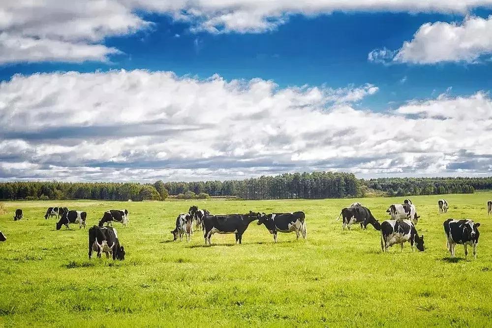 东京必打卡甜品店,东京超人气蛋糕新城天地店