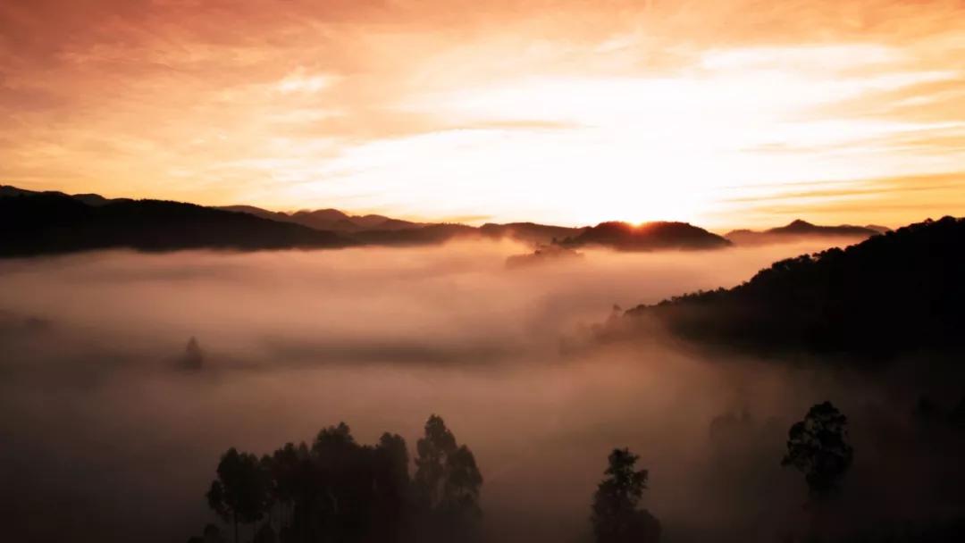 这是一个生机勃勃的地方关于它的故事才刚刚开始