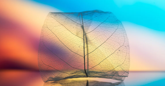 故事：下定决心离婚时怀上孩子，我用它做饵，骗来丈夫钱和房子