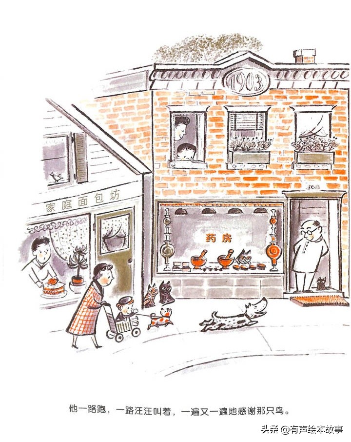 儿童故事哈利的花毛衣,哈利不可以有声绘本故事