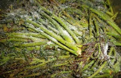 奶奶腌香椿菜秘方,3步就做好,能保存一年,现吃现取,简单方便