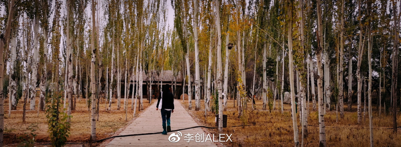 来宁夏玩的攻略,从宁夏去内蒙怎么玩