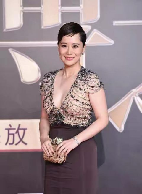 43岁海清穿衣搭配图片,海清深v黑礼服图片