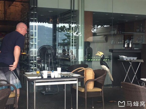 绿中海娱乐会所,绿中海旅游