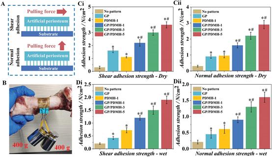 《AFM》光交联PGLADMA聚合物制备胶粘的Janus膜