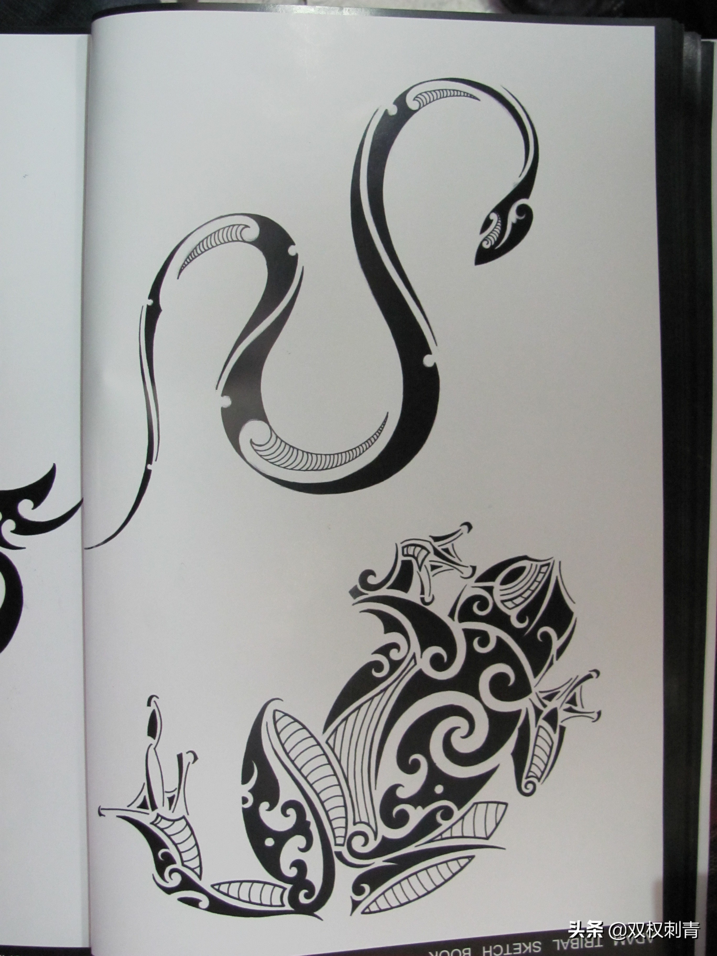 凤凰图腾图,张氏图腾图