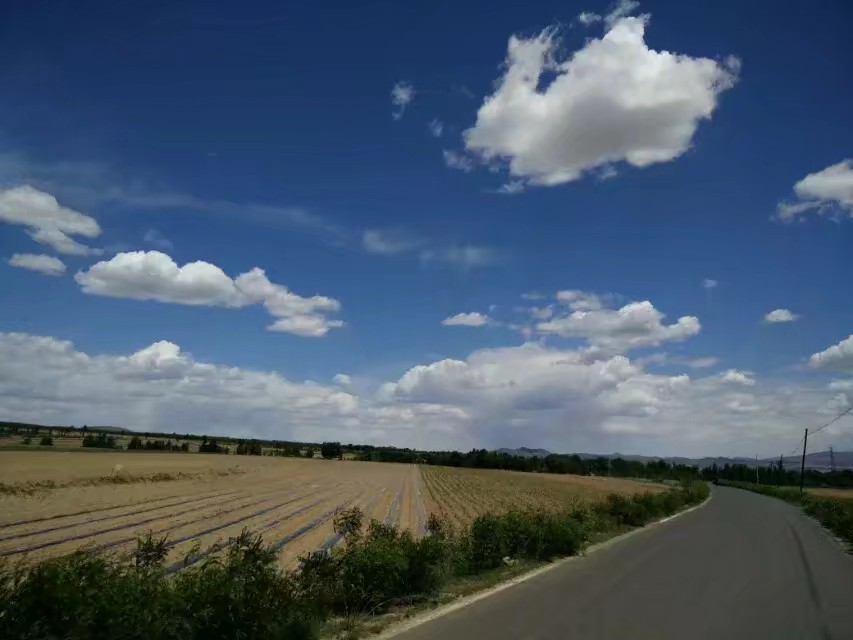 浮云电影,浮云散邓丽君原唱视频