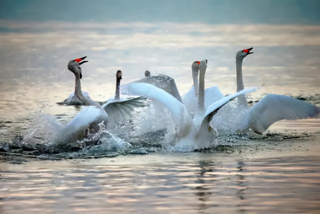 鄱湖之滨鱼米之乡,江西鄱阳湖