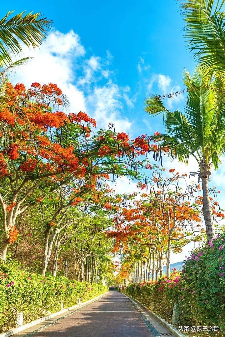 三亚维景国际别墅度假酒店简介,三亚亚龙湾维景国际度假酒店全貌