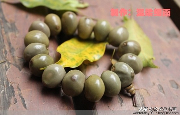 木鱼菩提子的种类全图解,菩提子手串种类图