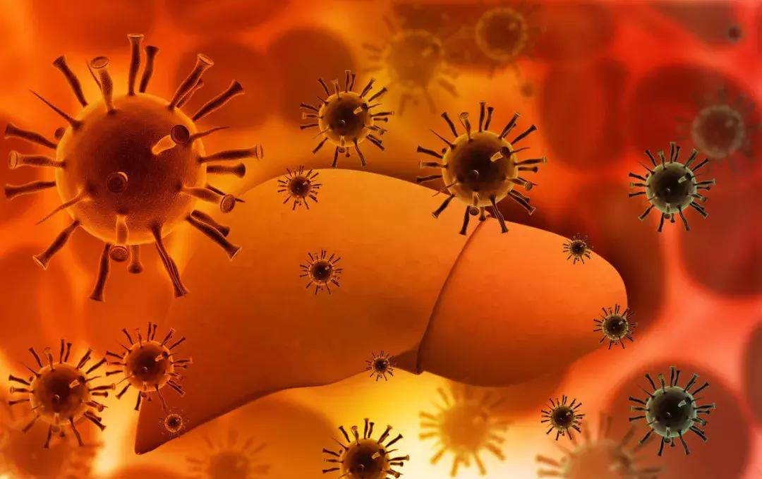 肝癌早期诊断简单有效的检查方法,定期筛查早期肝癌最合适的方法