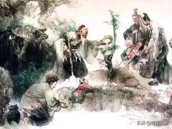 清明节的习俗用一句话说出来,清明节的来历和习俗你了解多少呢