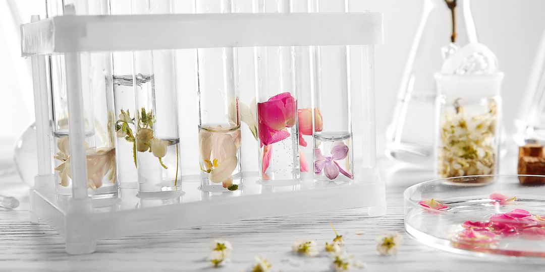 小白香水测评视频,汽车香水选购注意什么