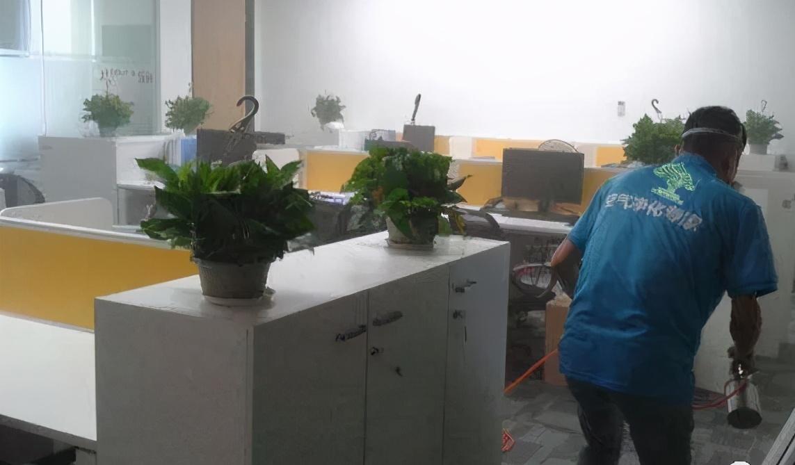 除甲醛超简单的三种方法你知道吗,除甲醛的小窍门视频