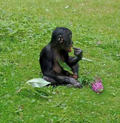 宝宝为何体重不增？正确喂养轻松解决育儿成长难题