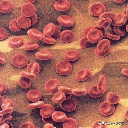 谈谈火“疖”子:毛囊炎的发病及日常护理