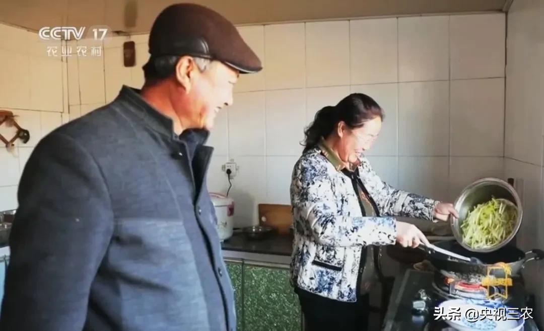 荒漠变绿洲不怕苦也不认命,荒漠变绿洲24年种下300万棵树