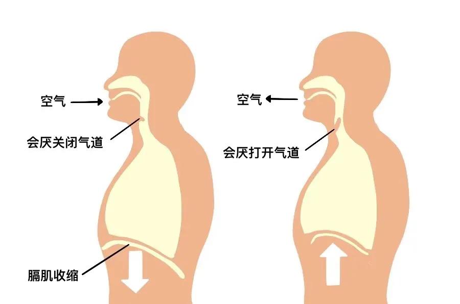 打嗝打不出来小妙招念数字,打嗝太尴尬教你10招迅速止住