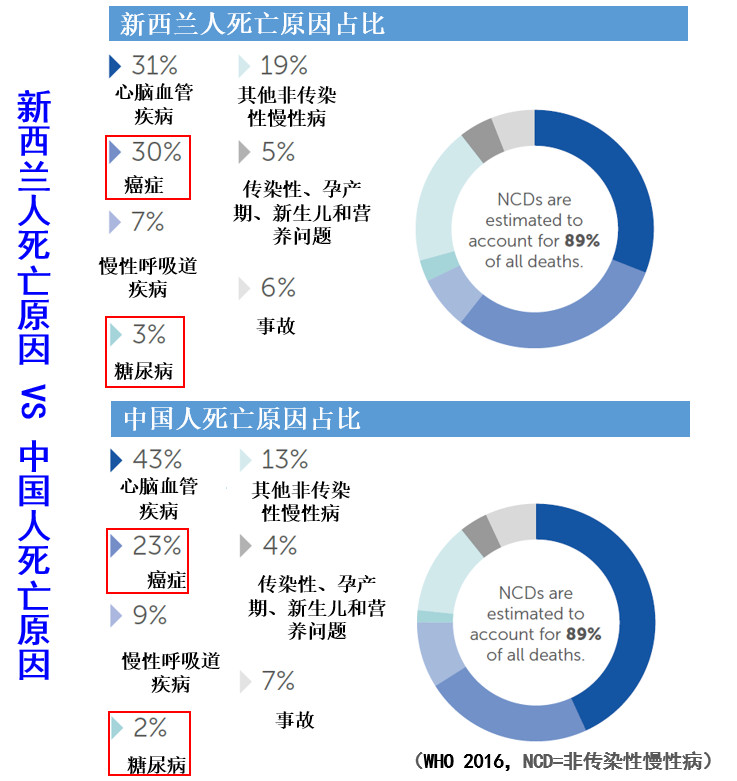 生活在新西兰有多幸福,生活在童话里的国家
