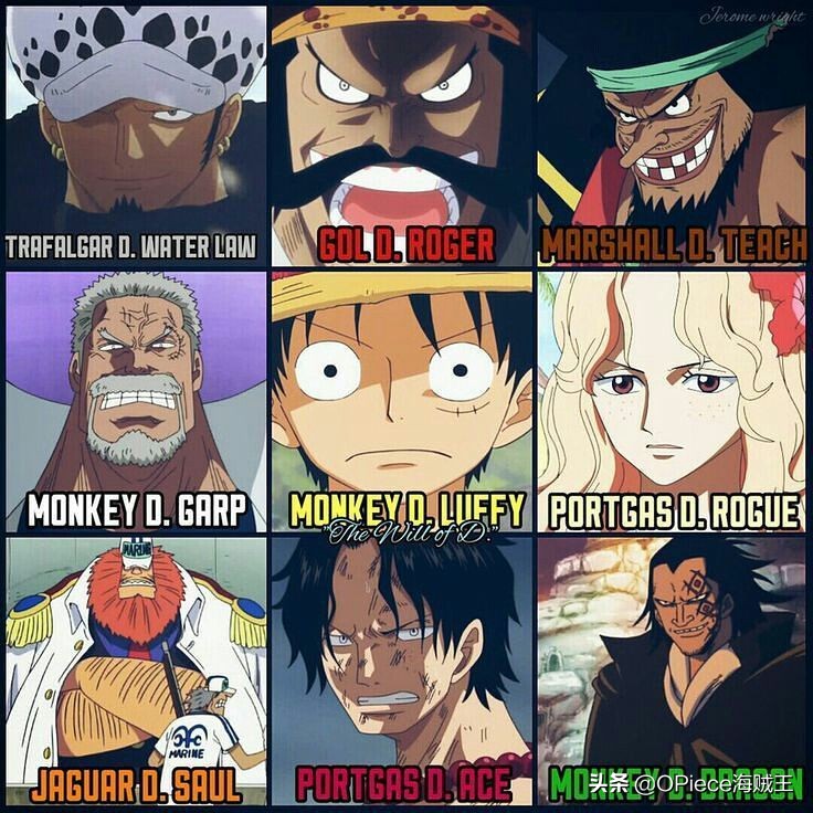 海贼王里的最神秘的人物,海贼王中最神秘的人物