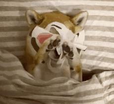 激光美容仪推荐,家用激光美容仪测评