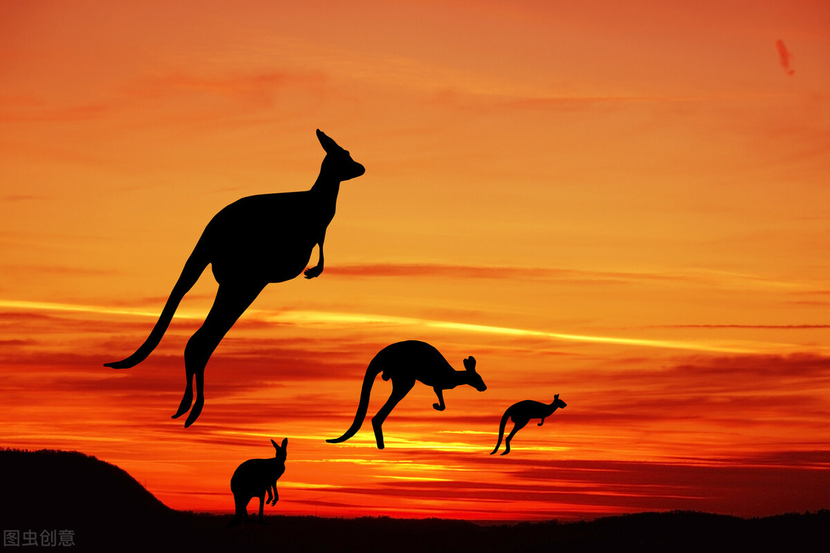 中国队不敌澳大利亚最后一节,输给澳大利亚还有机会出线吗