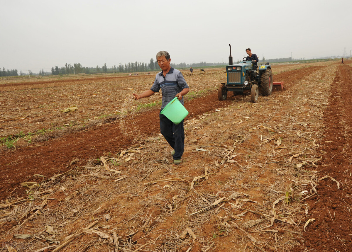 今年秋雨较多的地区有哪些,今年秋雨多是什么现象