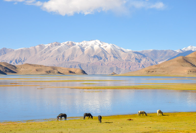 阿里地区为何如此神秘,阿里一个人的旅行