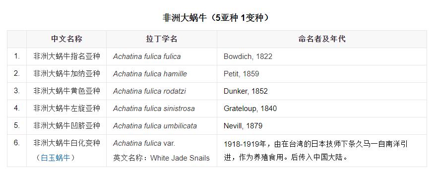 一次可产700粒卵，非洲大蜗牛能吃？摸它就可致命，它到底有多毒