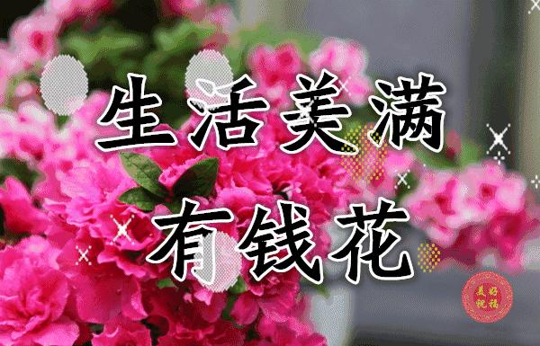 三八妇女节将至祝姐妹们节日快乐,三八妇女节提前祝女友们节日快乐