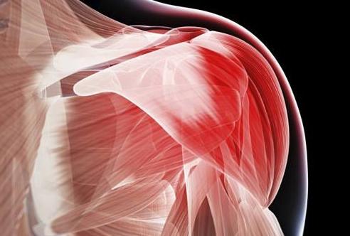 肌肉萎缩还能恢复吗?注意事项是什么?