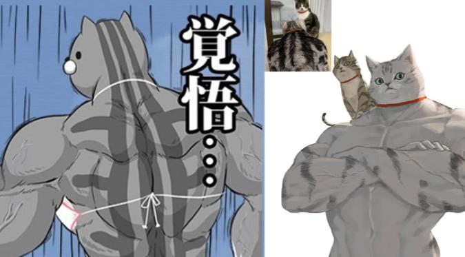 美短虎斑猫咪的品种,美国短毛猫虎斑价格