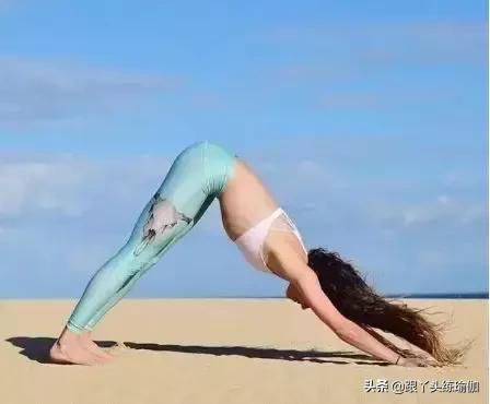 下犬式怎么做才正确,每天下犬式有什么好处