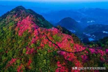 鏁伴娴佷汉鐗╃湅浠婃湞绱犳潗,鏁伴娴佷汉鐗╃湅鍘嗗彶娌夋诞