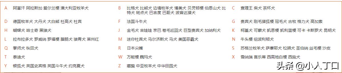 生活中常见的十种宠物狗，你认识多少？小白科普贴