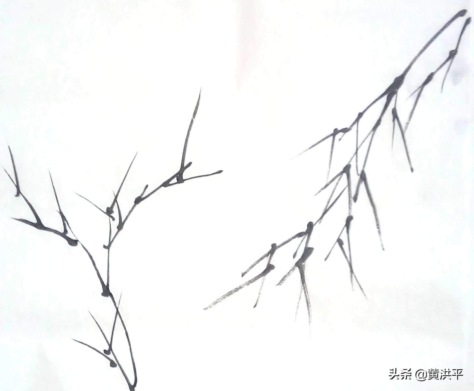 墨竹写意国画大全,写意墨竹的画法图片