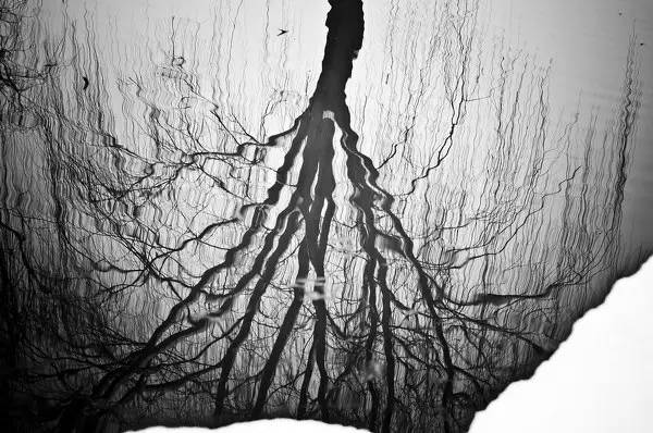 摄影的真谛在于发现美而不是造假,摄影的本质