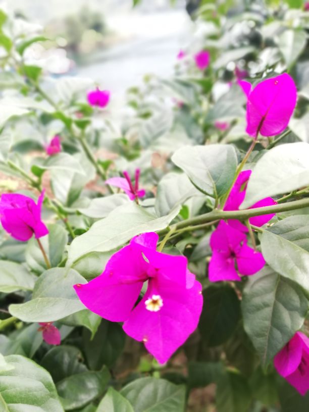 婚姻背后的真相看完倒吸一口冷气,婚姻出现了裂痕要怎么和老公沟通