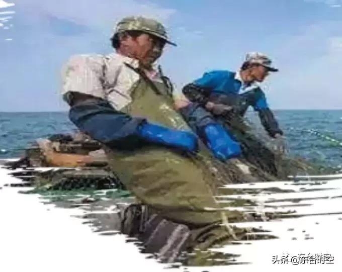 盐城东台海景,东台的海好看么