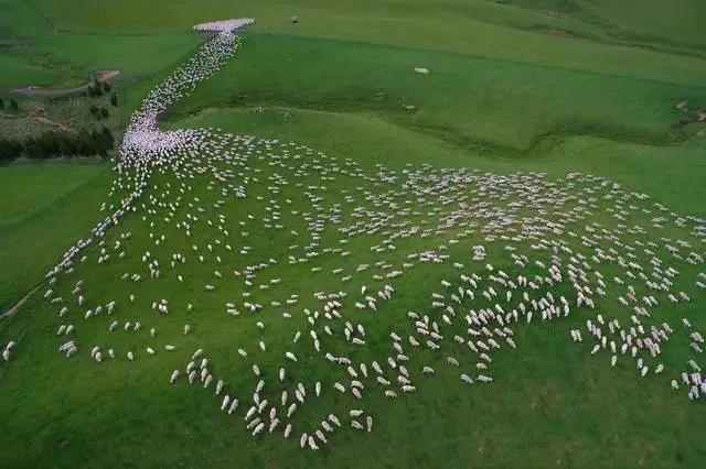 中国至今没被认全的20个邻居，个个身怀宝藏，你知道几个？