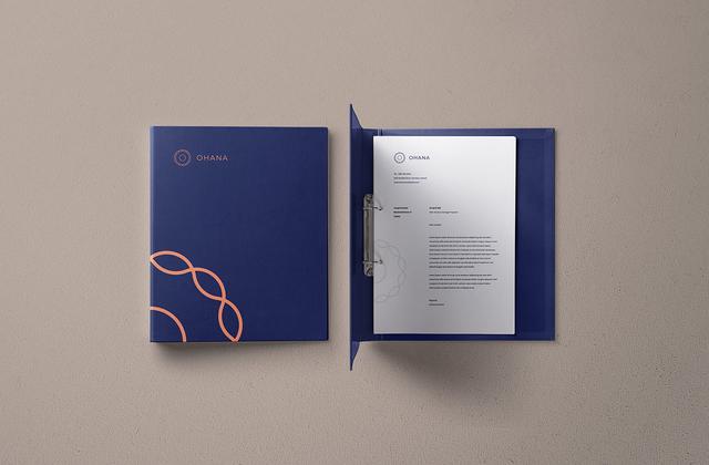 鍦颁骇vi璁捐搴旂敤,涓紡鍦颁骇vi璁捐