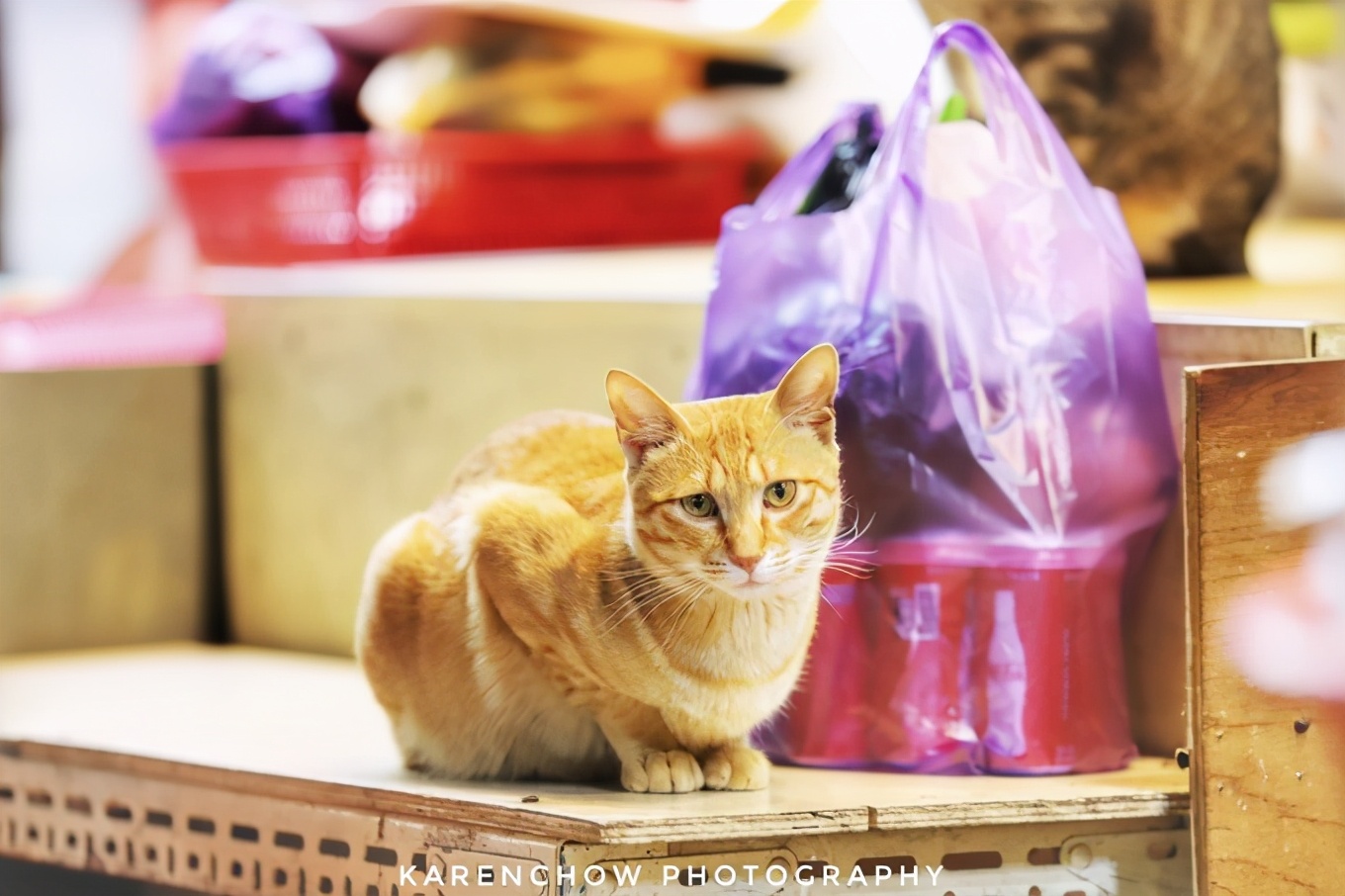 大邱安东小吃,韩国安东美食