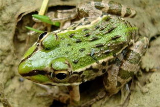 普通人可以做十大暴利行业,十万块钱可以做的小生意有哪些