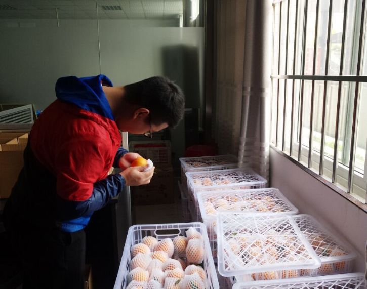 颜值爆表的丑八怪,无死角的丑八怪