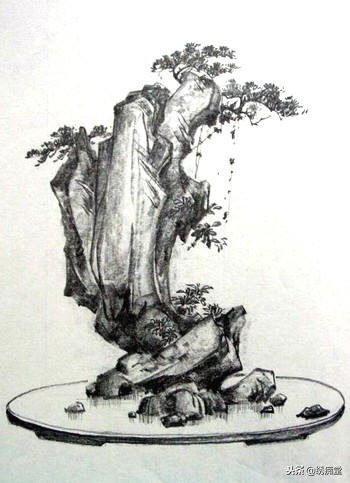 丛林式盆景欣赏,盆景欣赏及制作