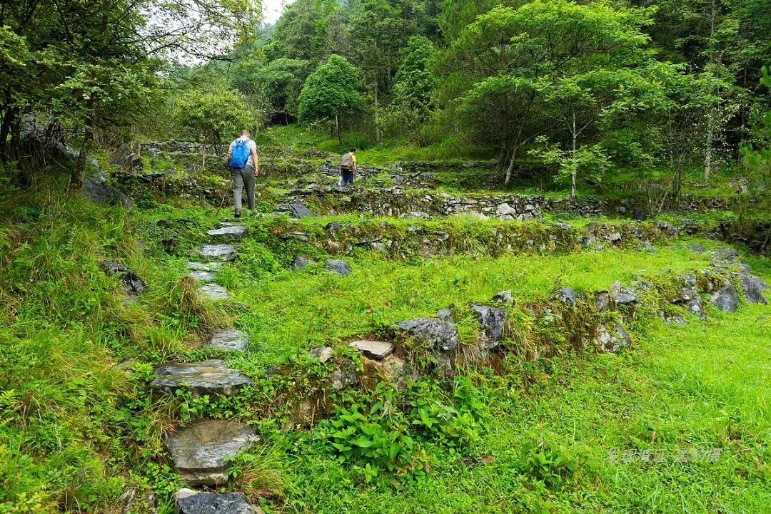 徒步穿越秦岭无人区,徒步穿越喀斯特森林